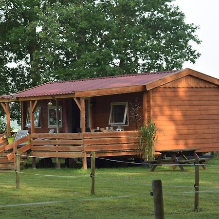 شقة Tiny House Het Reebokje Vriescheloo المظهر الخارجي الصورة