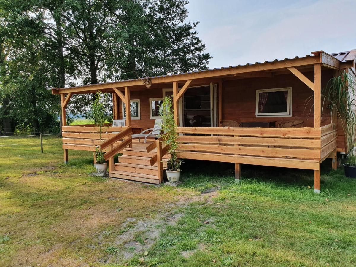 شقة Tiny House Het Reebokje Vriescheloo المظهر الخارجي الصورة