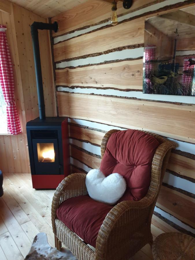 شقة Tiny House Het Reebokje Vriescheloo المظهر الخارجي الصورة