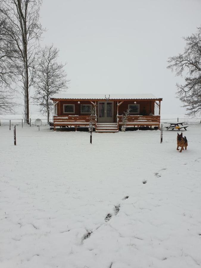 شقة Tiny House Het Reebokje Vriescheloo المظهر الخارجي الصورة