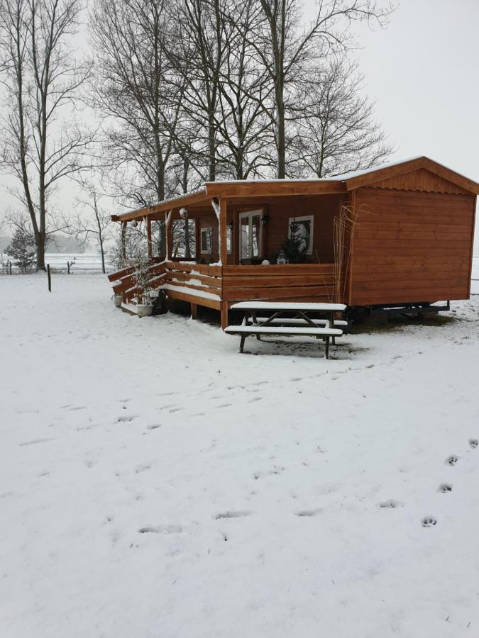 شقة Tiny House Het Reebokje Vriescheloo المظهر الخارجي الصورة