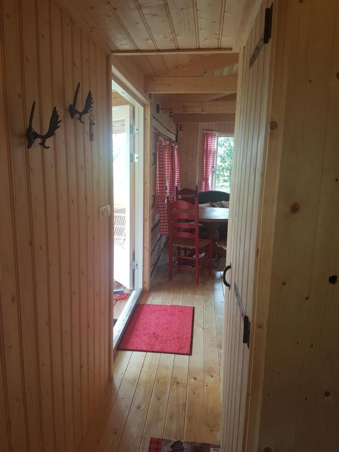 شقة Tiny House Het Reebokje Vriescheloo المظهر الخارجي الصورة