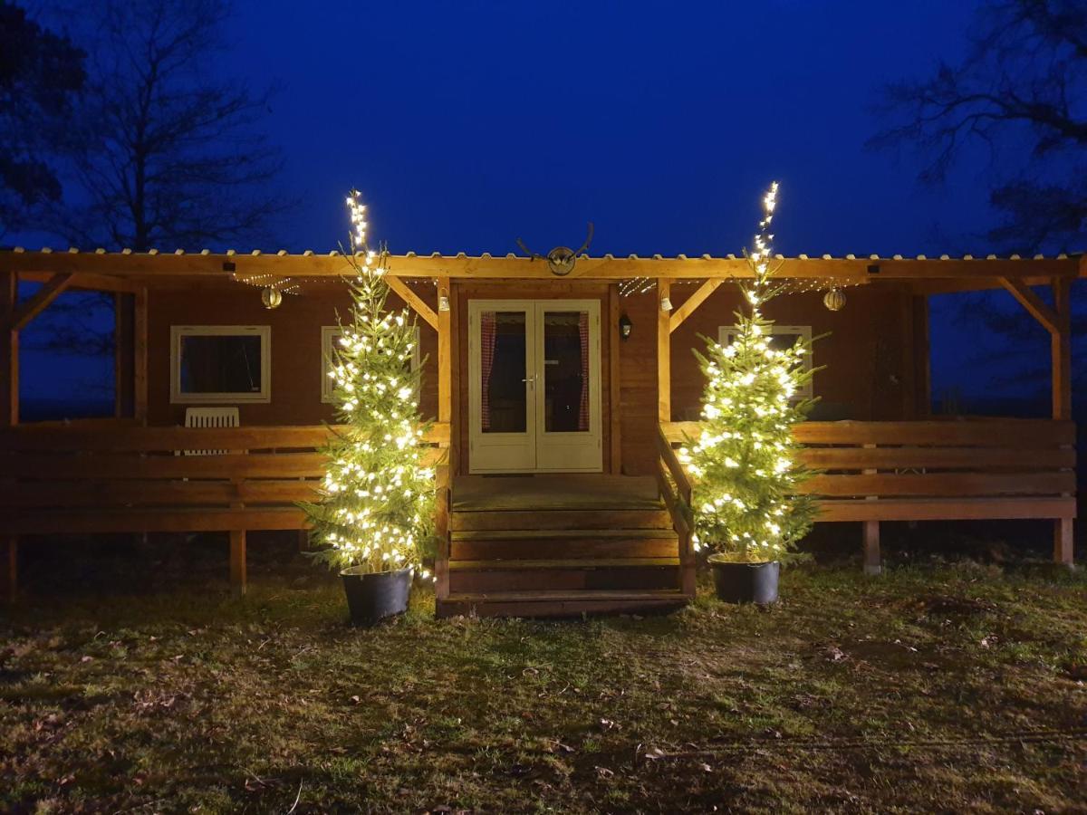 شقة Tiny House Het Reebokje Vriescheloo المظهر الخارجي الصورة